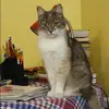 Отзыв от Динара Тимофеева